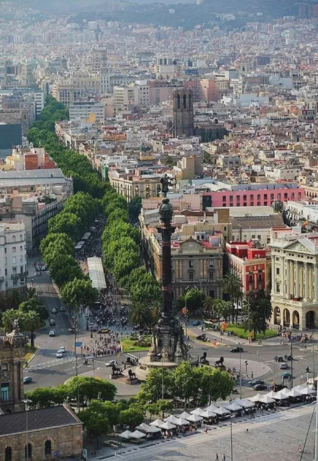 Foto van bovenaf op de iconische rij met bomen van Las Ramblas in Barcelona Foto van bovenaf op de iconische rij met bomen van Las Ramblas in Barcelona