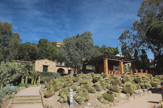 De bekende vetplanten in de botanische tuin Pinya de Rosa in Blanes De bekende vetplanten in de botanische tuin Pinya de Rosa in Blanes
