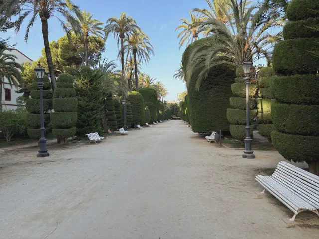 Parque Genoves in Cadiz Parque Genoves in Cadiz