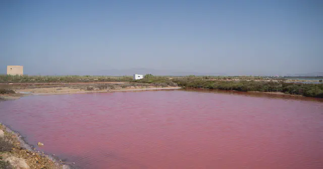 Felroze zoutmeer in Santa Pola Felroze zoutmeer in Santa Pola
