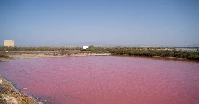Felroze zoutmeer in Santa Pola
