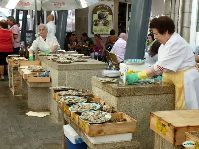 De oesterstraat Rua da Pescaderia in Vigo waar verkoopsters dagverse oesters openen op marmeren tafels